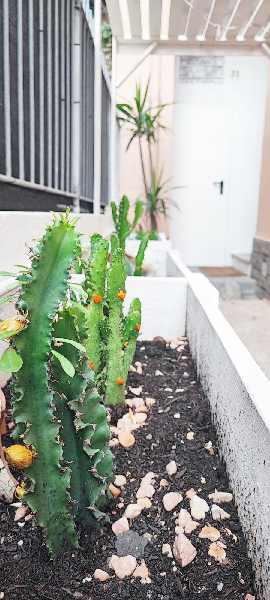 Apartamento Bibliososta Anche Al 1° Piano Anno 2024 Ventimiglia Exterior foto