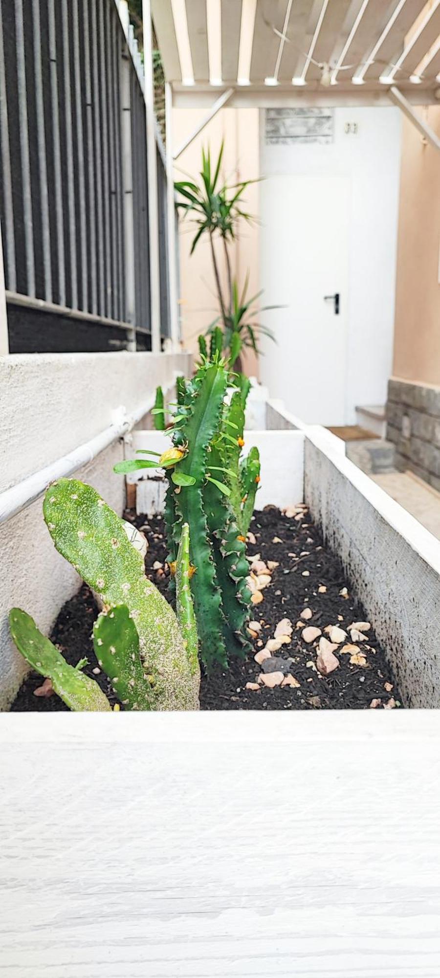 Apartamento Bibliososta Anche Al 1° Piano Anno 2024 Ventimiglia Exterior foto